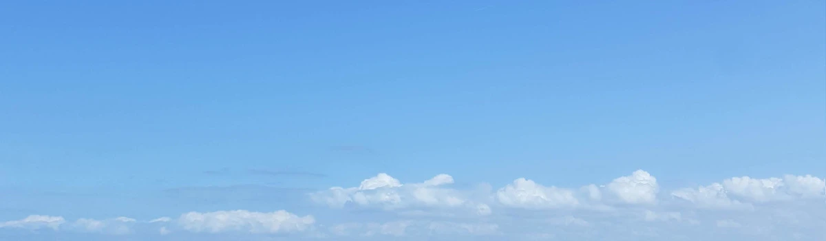 Consultant SAP Fiori, SAP CPI et SAP BTP – W3Experience